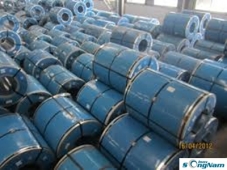 Cuộn inox 304